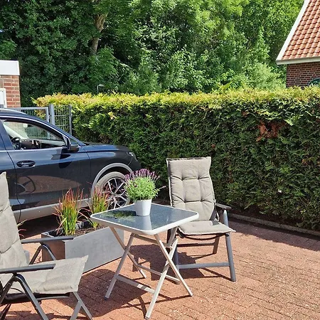 Duenengras-neu-bei-uns * Norddeich (Norden)